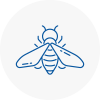 Bee Nest Removal Brigg